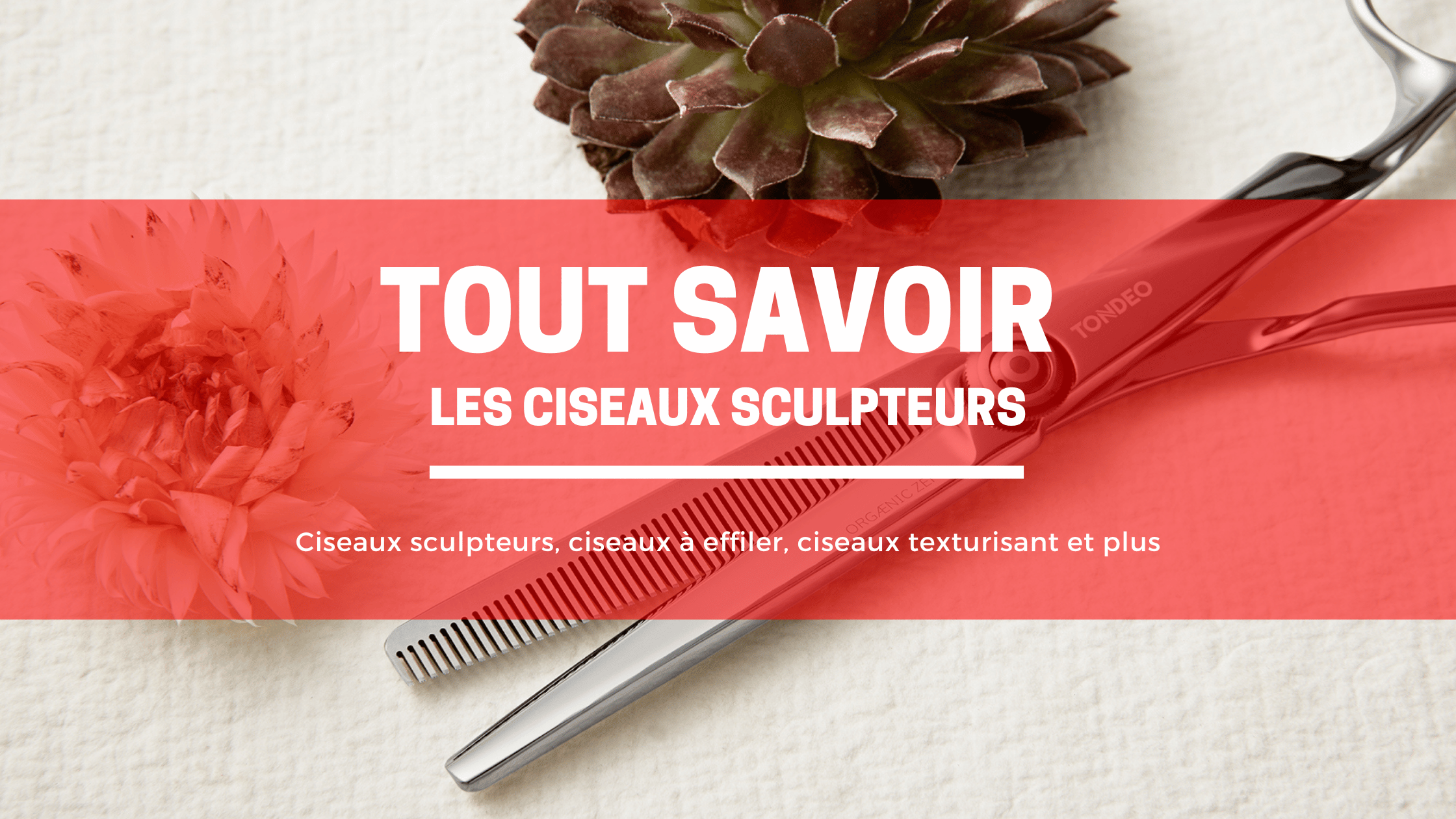 Everything you need to know about thinning scissors