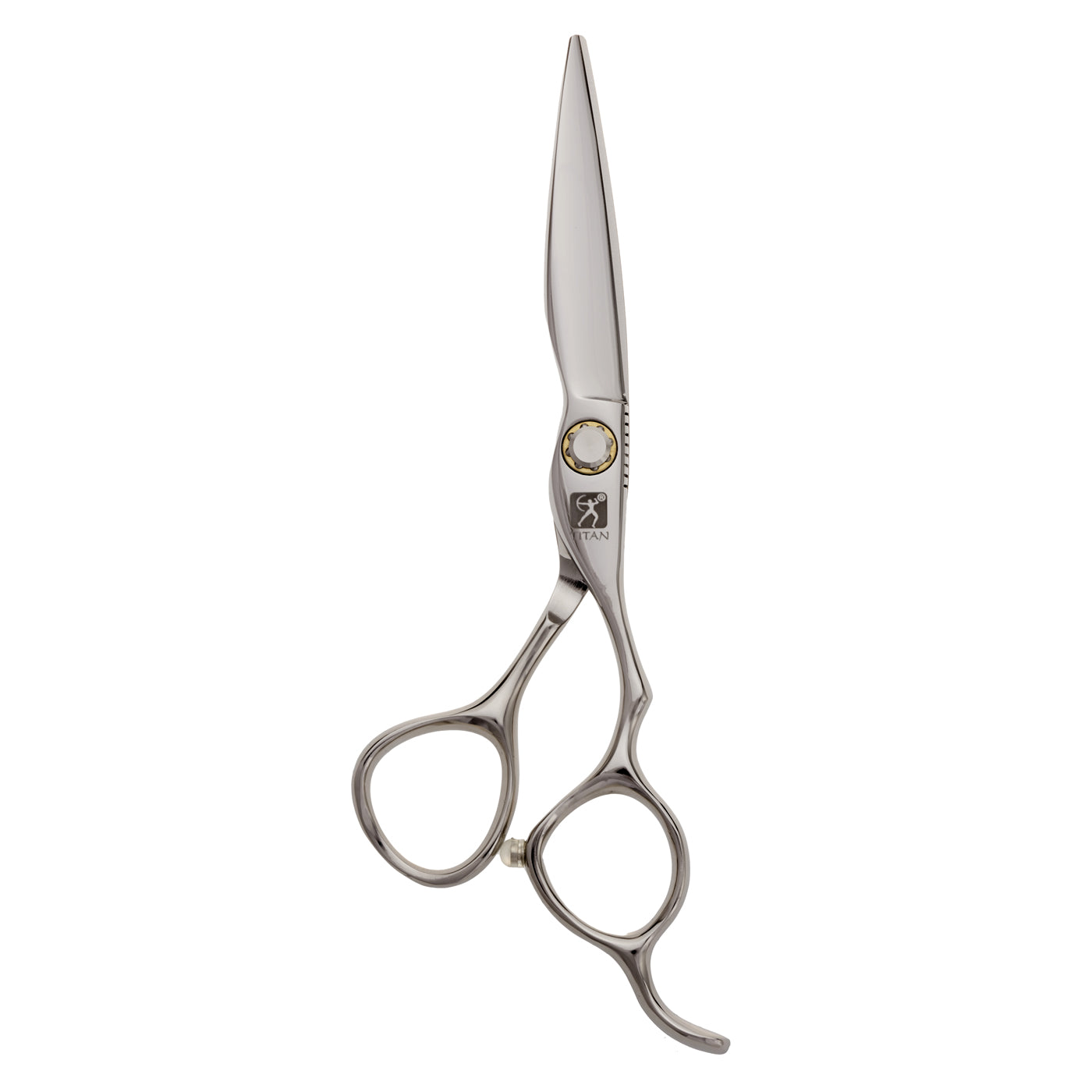 Titan Scissors Steel