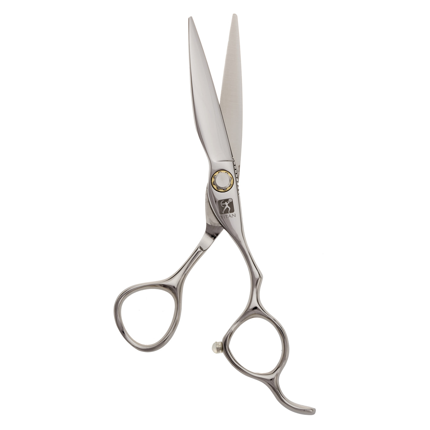 Titan Scissors Steel