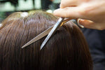Ciseaux Tondeo Zentao - Ciseaux coiffure Tondeo Solingen - Myciseauxcoiffure